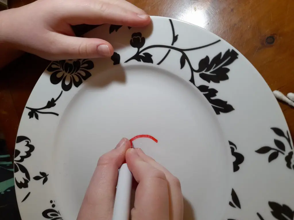 Draw on your plate