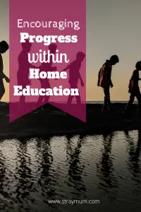 Encouraging Progress within Home Education 