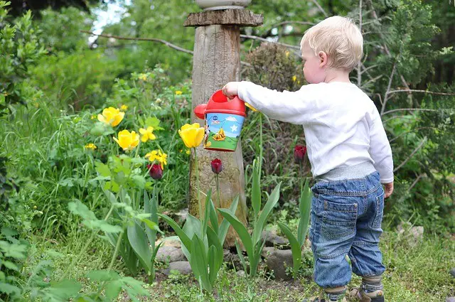 Build a garden with children 