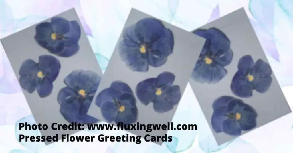 Flower Greeting Cards