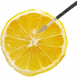 lemon and paintbrush used in the invisible ink science experiment