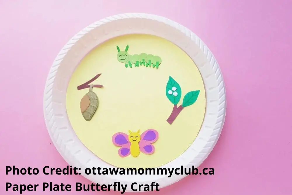 Butterfly life cycle paper plate craft Butterfly paper plate craft