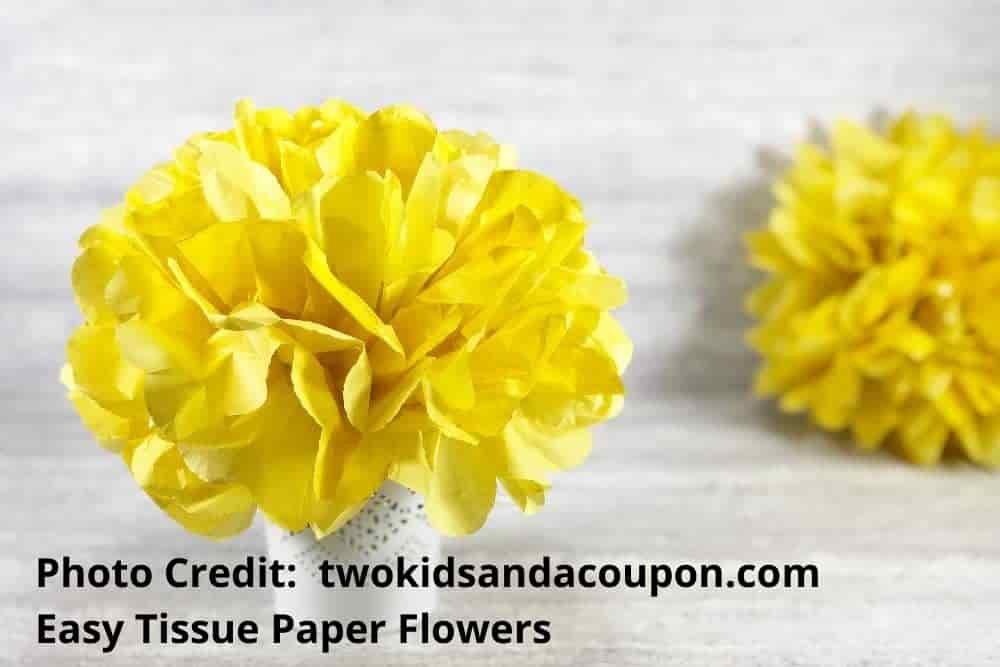 Tissue paper flower craft