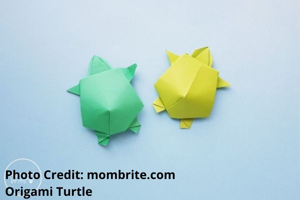 Origami Turtle