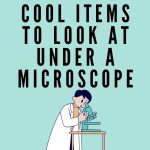 under a microscopr