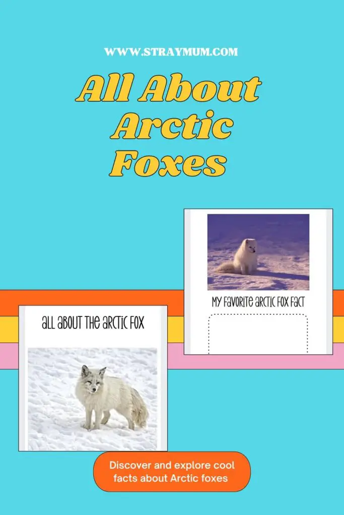 Free Arctic Fox download pack