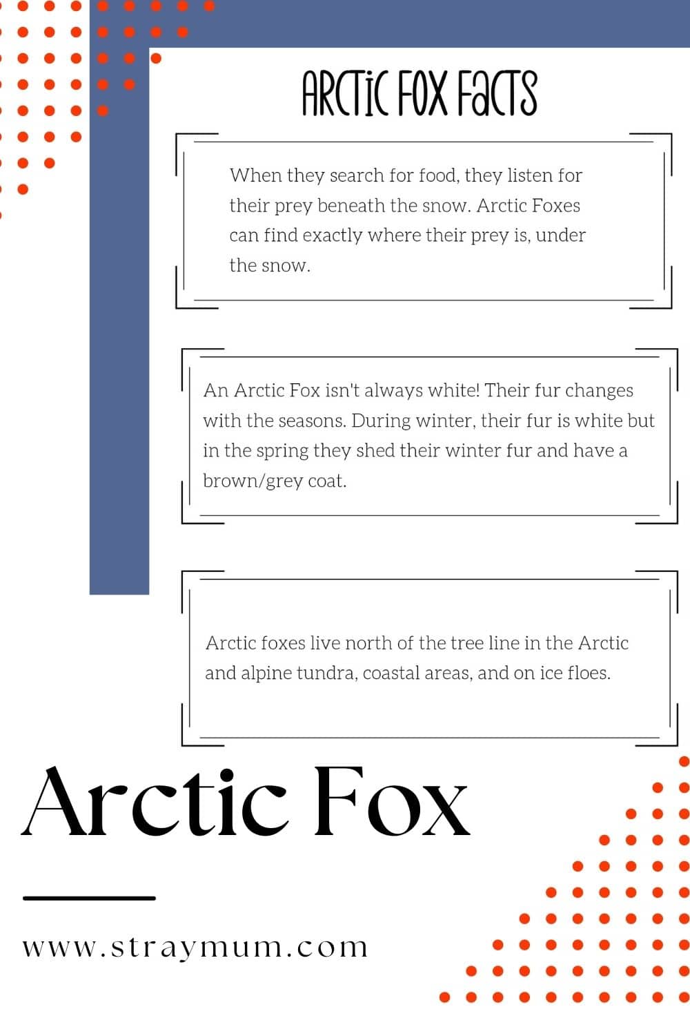 Cool facts about arctic foxes