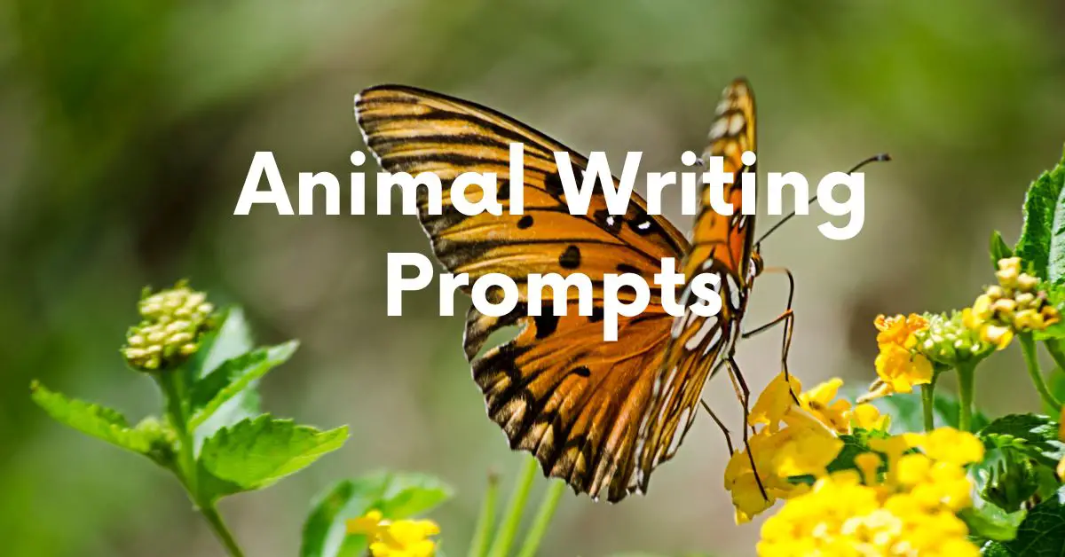 Animal Writing Prompts - Stray Mum