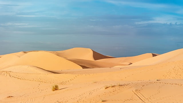 photo of a desert scence
