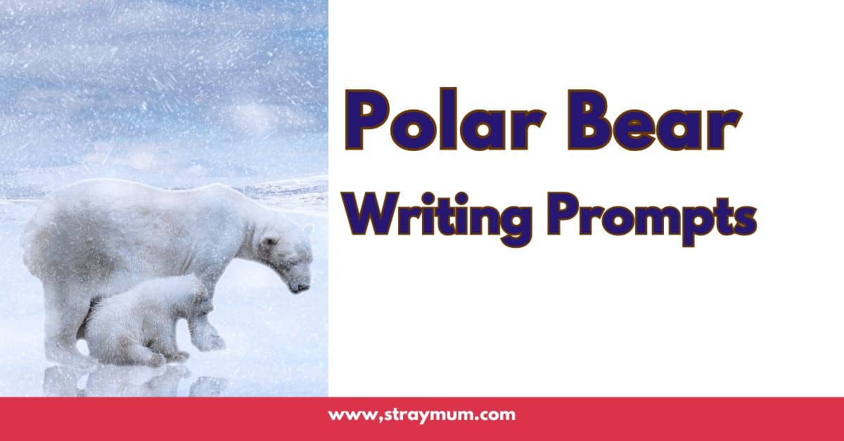 Polar Bear Writing Prompts That Will Inspire - Stray Mum