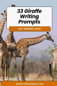 Giraffe Writing Prompts with a photograph of giraffes