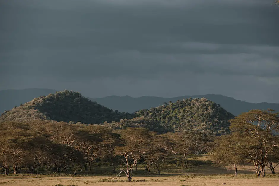 Image illustrating the role of fire in the African Savanna ecosystem